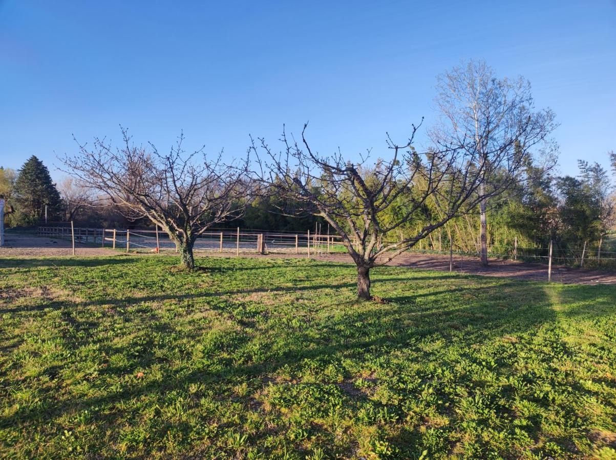 Maison A La Campagne Bouchet  外观 照片